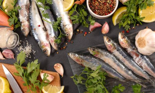 Sardines